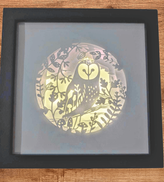 Shadow Box Hibou